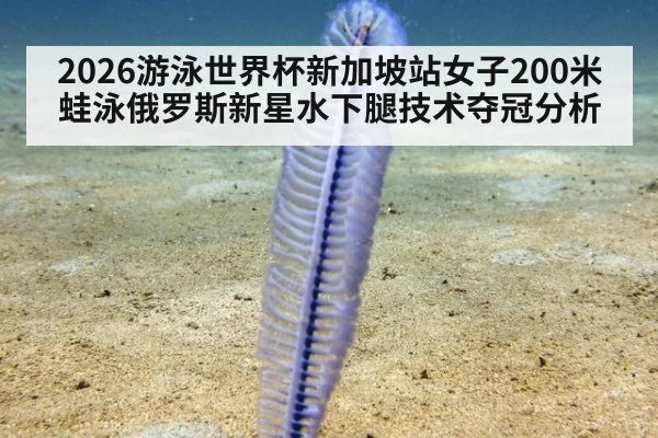 2026游泳世界杯新加坡站女子200米蛙泳俄罗斯新星水下腿技术夺冠分析