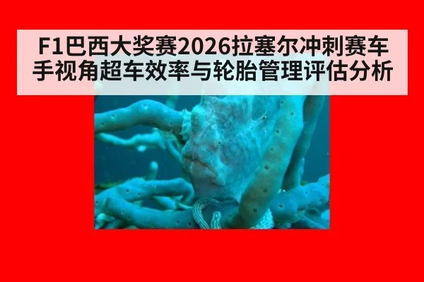 F1巴西大奖赛2026拉塞尔冲刺赛车手视角超车效率与轮胎管理评估分析